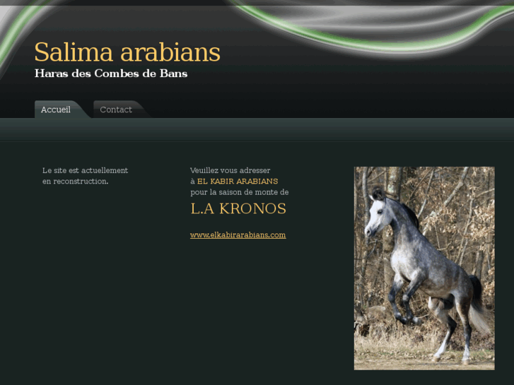 www.salima-arabians.com