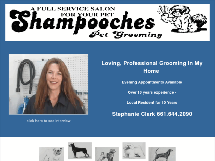 www.shampooches-grooming.com