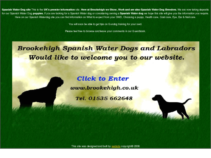 www.spanish-waterdogs.com