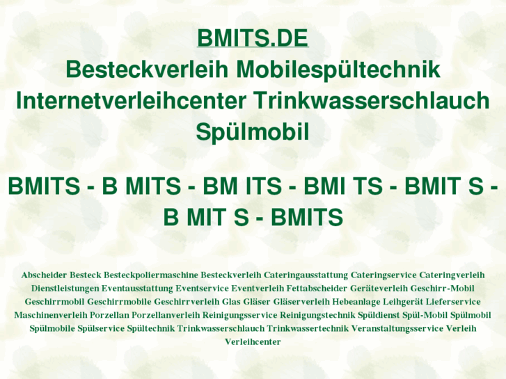 www.bmits.de