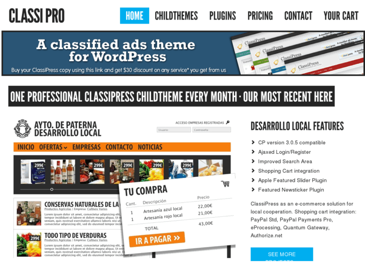 www.classipro.com