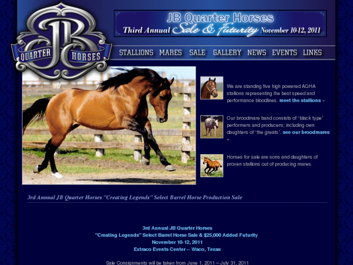 www.jbquarterhorses.com