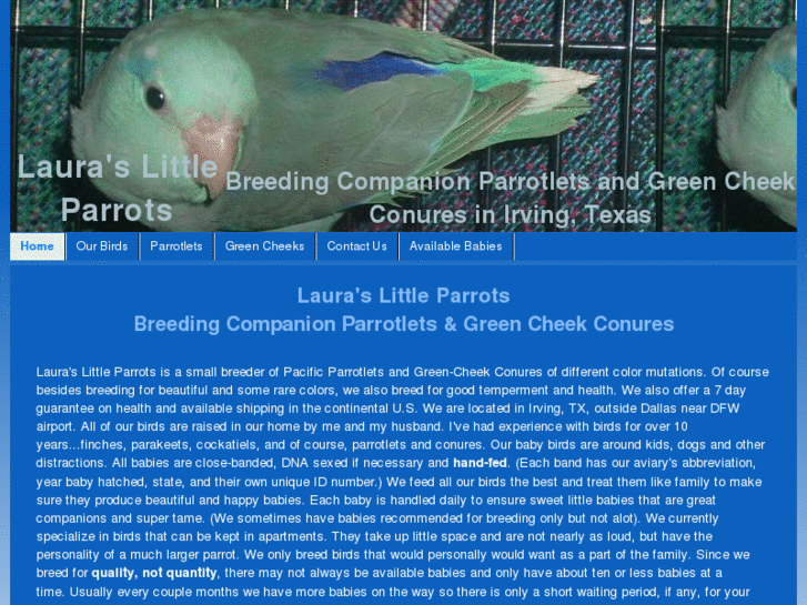 www.lauraslittleparrots.com