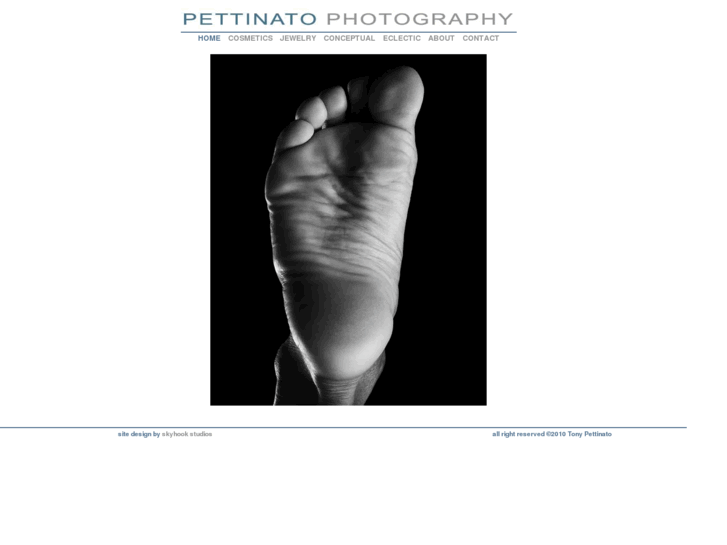 www.pettinatophoto.com