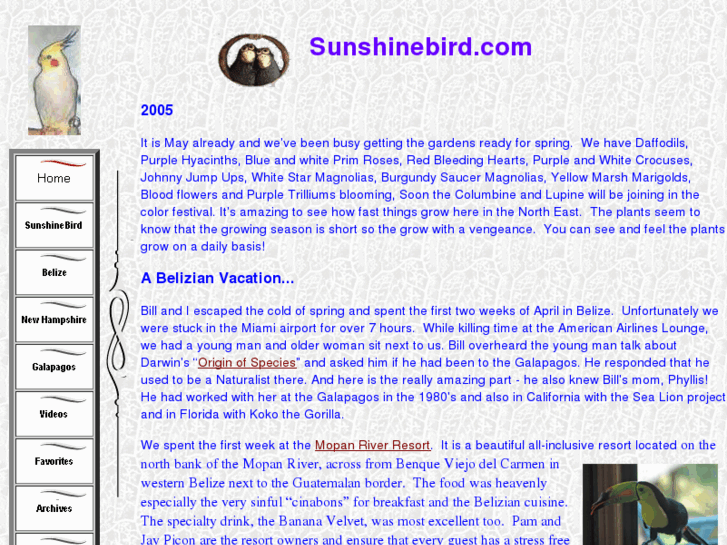 www.sunshinebird.com