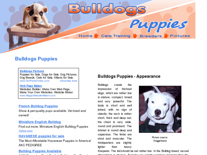 www.bulldog-puppies.org