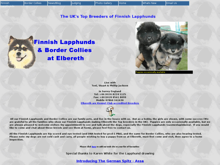 www.finnishlapphund.info