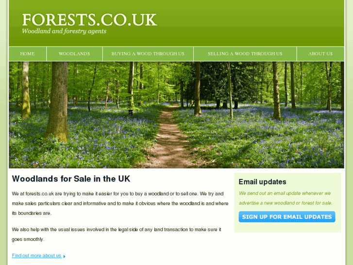 www.forests.co.uk