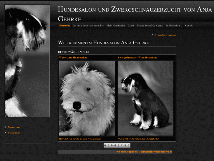 www.hundesalon-muensterland.de