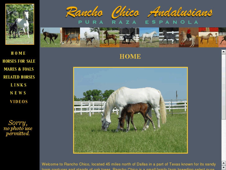 www.rc-andalusians.com