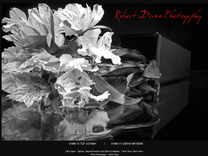 www.robertdannphoto.com