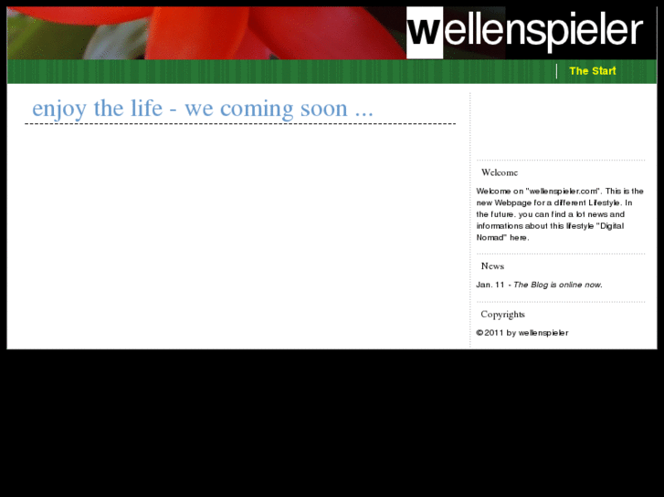 www.wellenspieler.com