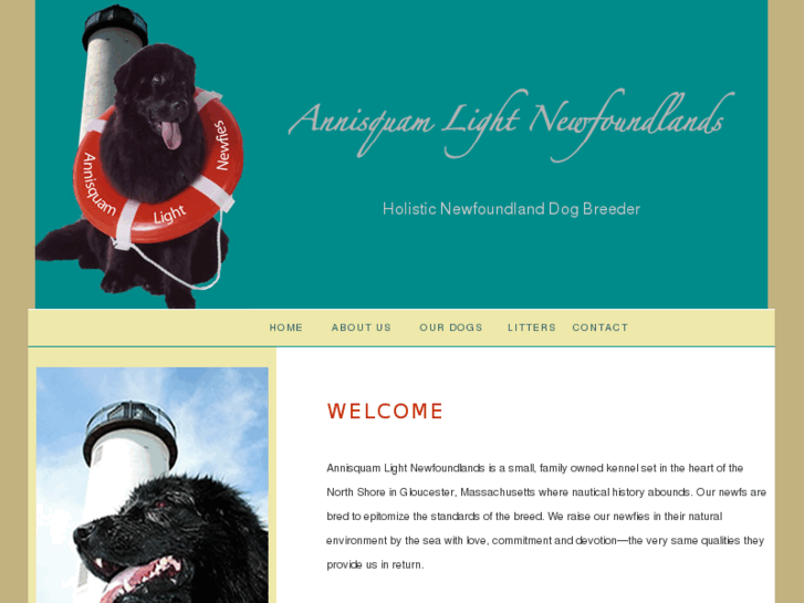 www.annisquamlightnewfs.com