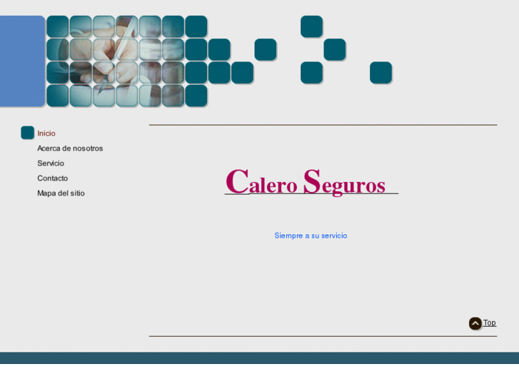 www.caleroseguros.es