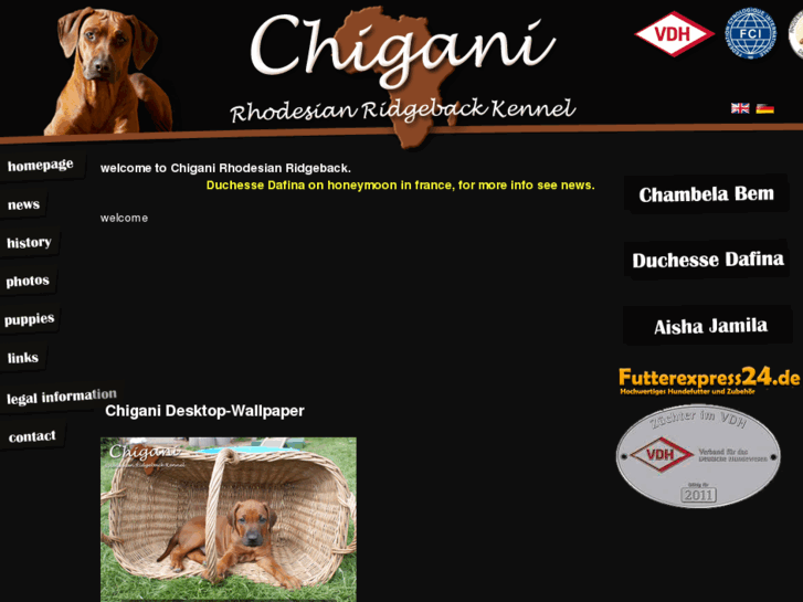 www.chigani-ridgeback.com