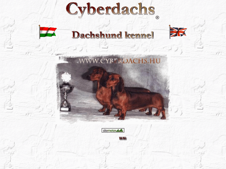 www.cyberdachs.hu