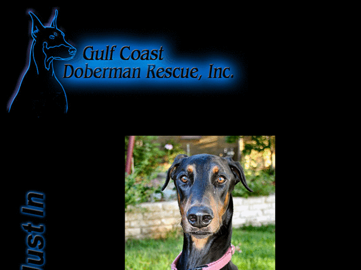 www.gulfcoastdobermanrescue.com