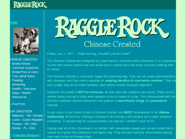 www.ragglerock.ca