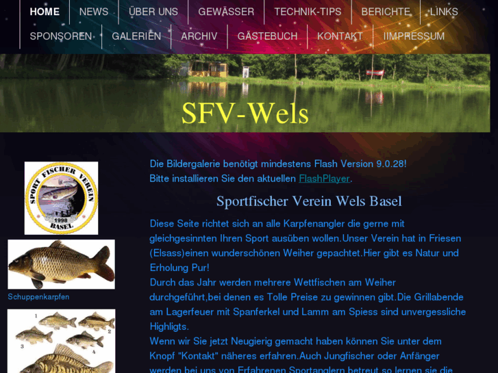 www.sfv-wels.com