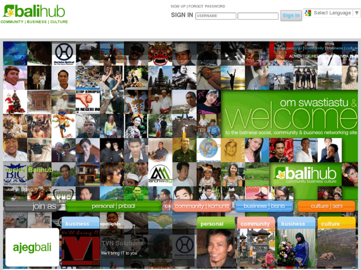 www.balihub.com