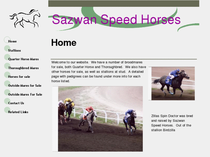 www.sazwanspeedhorses.com