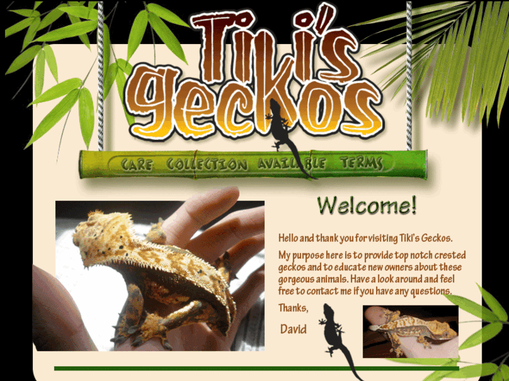 www.tikisgeckos.com