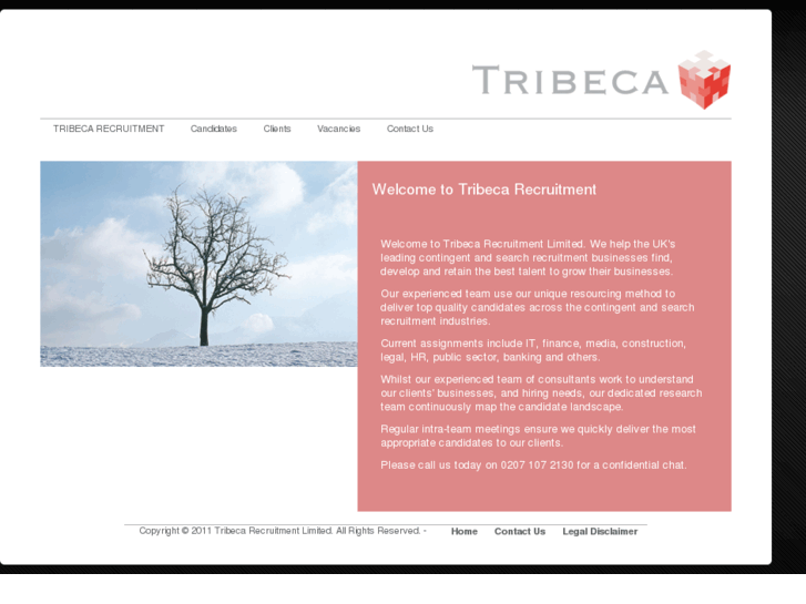 www.tribecarecruitment.com