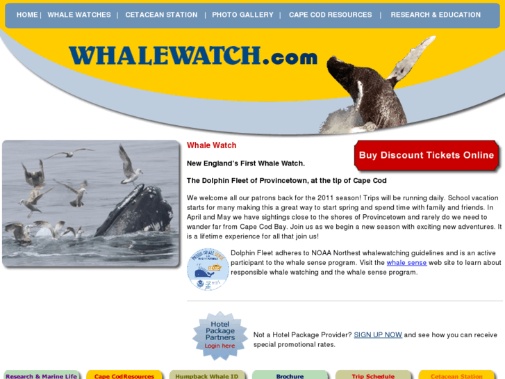 www.whalewatch.com