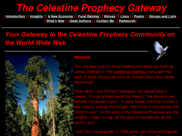 www.celestineview.com