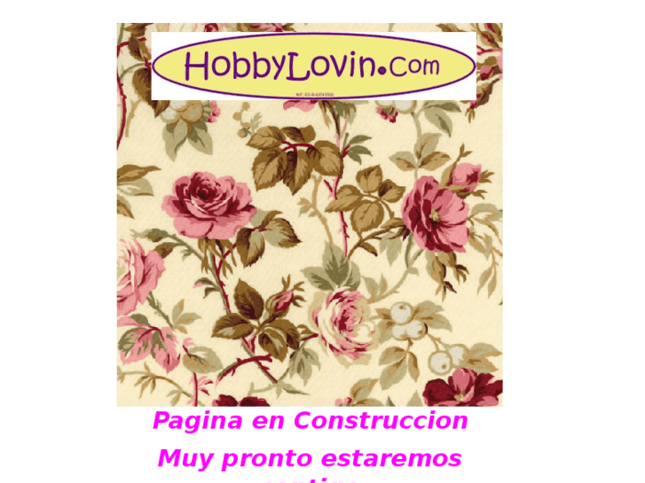 www.hobbylovin.com