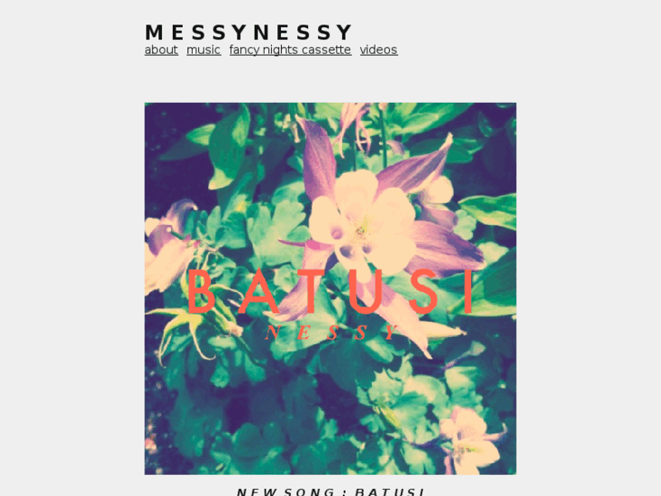 www.messynessy.com
