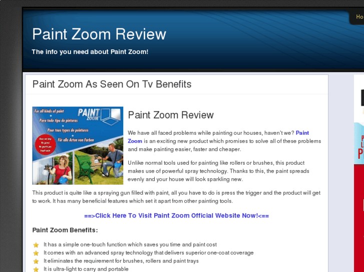 www.paintzoomreview.com