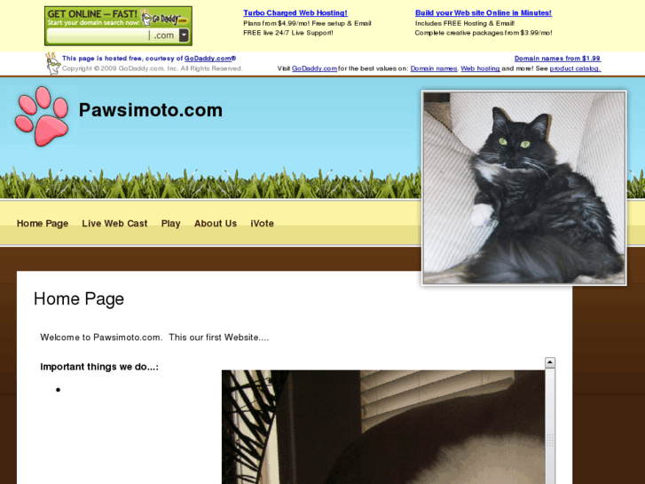 www.pawsimoto.com