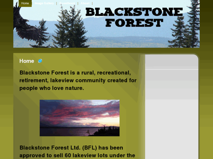 www.blackstoneforest.com