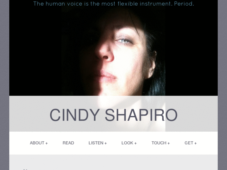 www.cindyshapiro.net