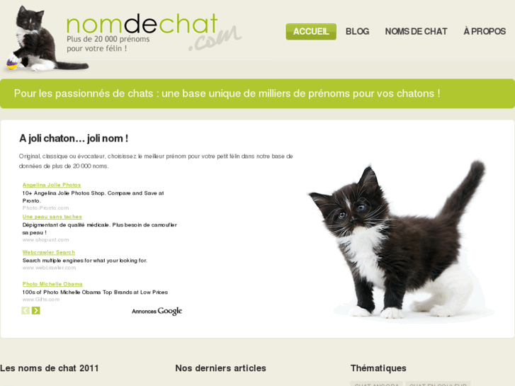 www.nom-de-chat.com