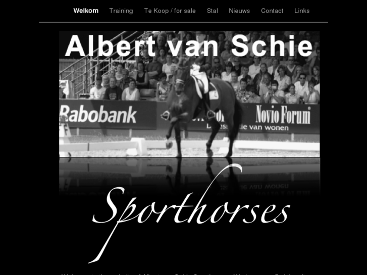 www.albertvanschie.com