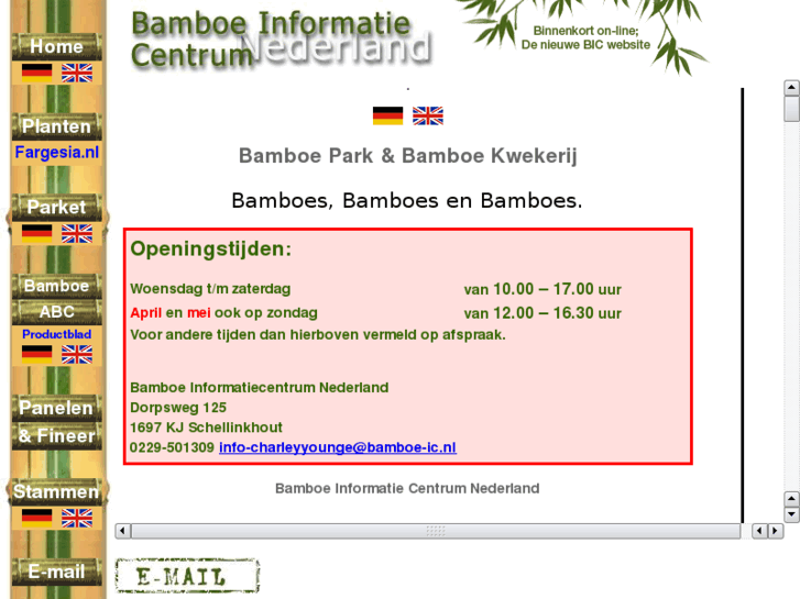 www.bamboe-ic.nl