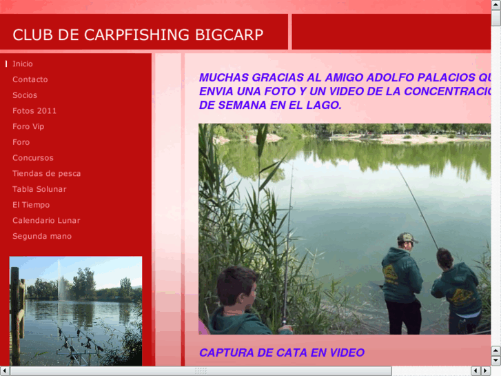 www.bigcarp.es