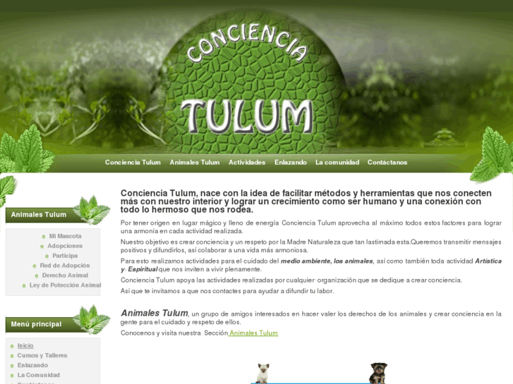 www.concienciatulum.com