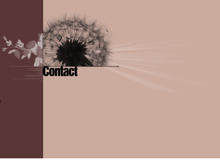 www.danecurrie.com