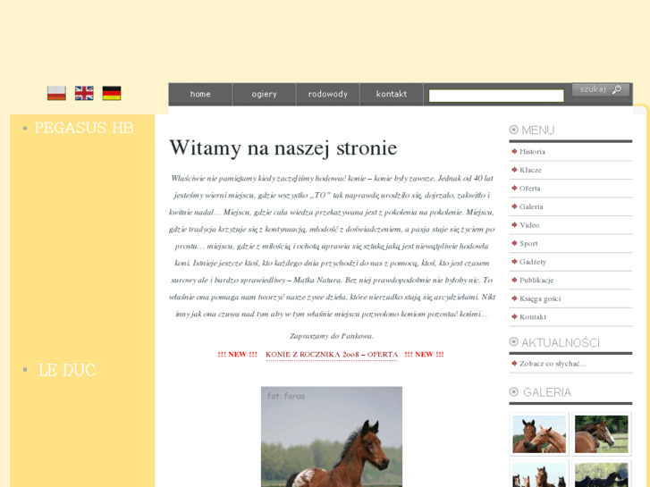 www.mazurek-konie.pl