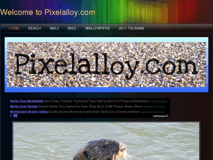 www.pixelalloy.com