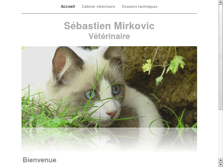 www.sebastienmirkovic.com