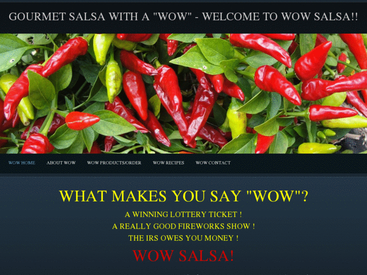 www.wowsalsainc.com