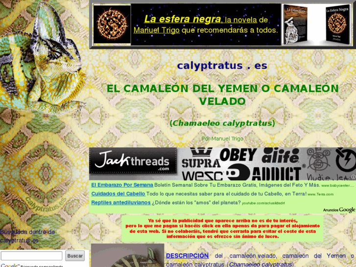 www.calyptratus.es