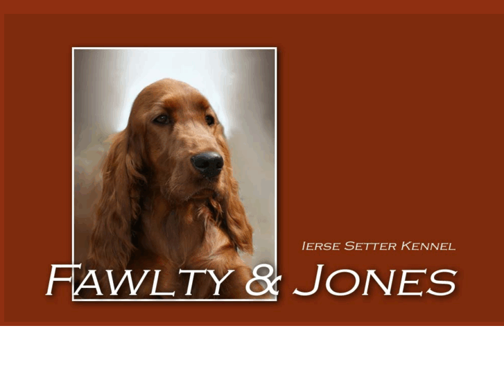 www.fawltyandjones.com