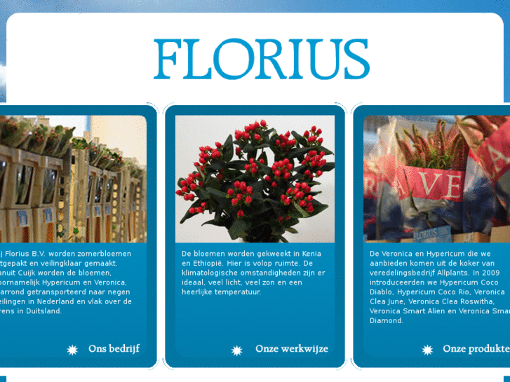 www.floriusflowers.com