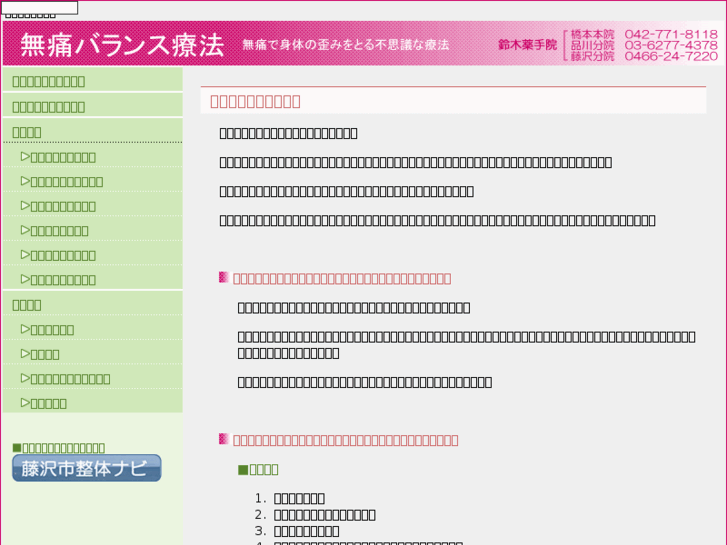 www.fujisawa-seitai.com