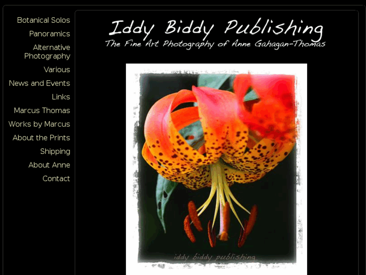 www.iddybiddypublishing.com